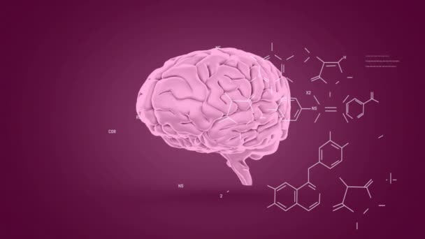 Animación Del Procesamiento Datos Fórmula Química Sobre Cerebro Concepto Ciencia — Vídeos de Stock
