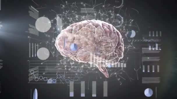 Animation Traitement Des Données Financières Par Cerveau Numérique Sur Fond — Video