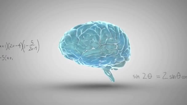 Animacja Matematycznego Przetwarzania Danych Nad Ludzkim Mózgiem Szarym Tle Koncepcja — Wideo stockowe