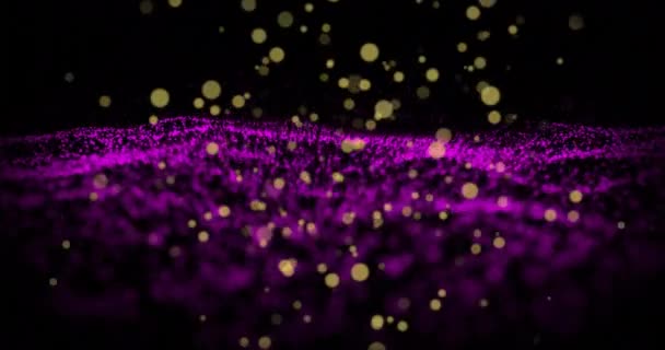 Анимация Желтых Фиолетовых Светлых Пятен Черном Фоне Свет Цвета Движение — стоковое видео