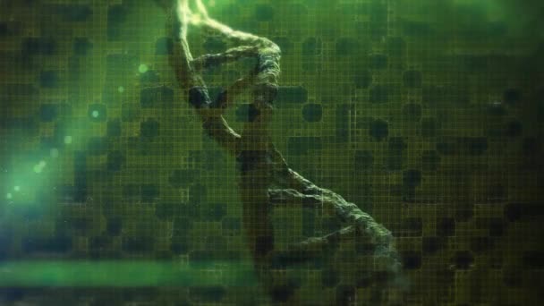 Animatie Van Een Dna Streng Die Een Groene Achtergrond Draait — Stockvideo