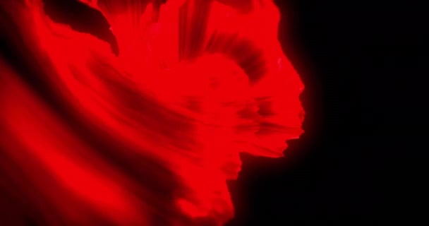Animatie Van Rode Vormen Bewegend Zwarte Achtergrond Abstract Achtergrond Kleuren — Stockvideo