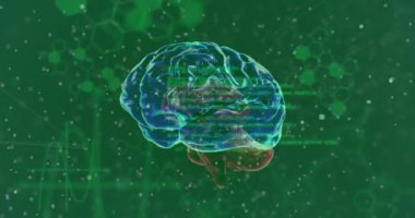 Yeşil arka plandaki tıbbi veri işleme üzerinde dönen beynin animasyonu. Veri, bilim, sağlık, dijital arayüz, bağlantı, araştırma ve iletişim, dijital olarak oluşturulmuş video.