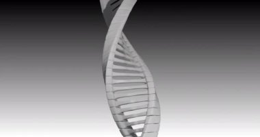 Gri arkaplandaki DNA ipliği üzerindeki şekillerin animasyonu. Küresel bilim, bilgisayar ve dijital arayüz kavramı dijital olarak oluşturulmuş video.