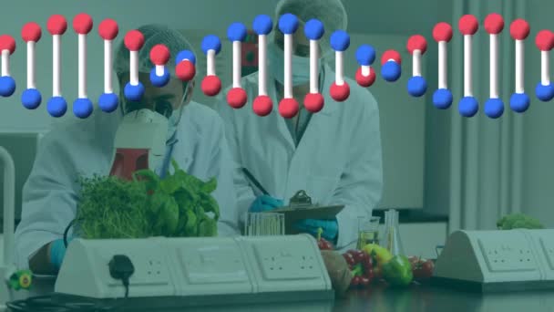 Animazione Del Filamento Del Dna Diversi Scienziati Laboratorio Concetto Globale — Video Stock