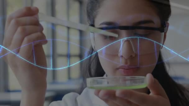 在实验室做实验的高加索女科学家的Dna链动画 全球科学和数字接口概念数字生成视频 — 图库视频影像