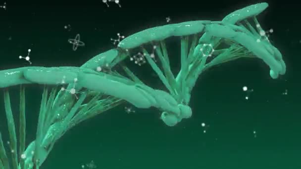 Анимация Молекул Плавающих Над Цепочкой Днк Концепция Глобального Научного Цифрового — стоковое видео