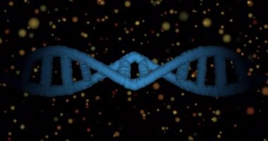 Karanlık arka planda parlayan noktaların üzerinde dönen DNA iplikçiklerinin animasyonu. Küresel bilim, bağlantılar, hesaplama ve veri işleme kavramı dijital olarak oluşturulmuş video.