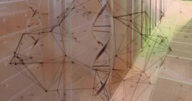 Bilgisayar sunucularında DNA iplikçikleri ve veri işleme animasyonları. Küresel finans, iş, bağlantılar, hesaplama ve veri işleme kavramı dijital olarak oluşturulmuş video.