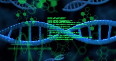 Siyah arka planda DNA iplikçikleri ve veri işleme animasyonları. Küresel bilim, bilgisayar ve dijital arayüz kavramı dijital olarak oluşturulmuş video.