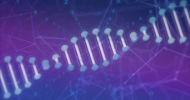 Veri işleme animasyonu, mavi arkaplanda DNA ipliği ve şekilleri. Küresel bilim ve dijital arayüz kavramı dijital olarak oluşturulmuş video.