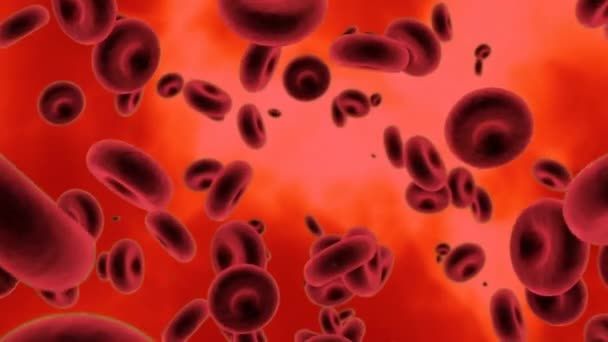 Animation Blood Cells Red Background Global Medicine Healthcare Science Digital — Stock Video