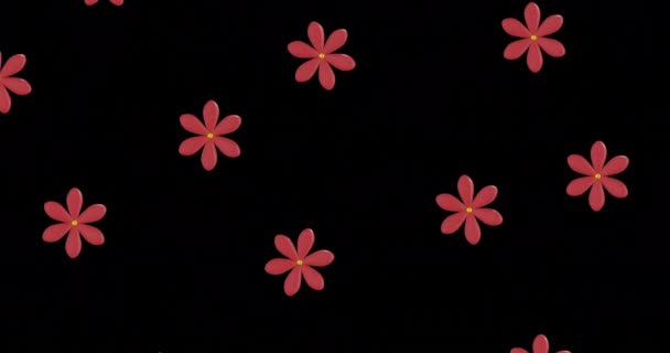 Animation Von Reihen Chinesischer Roter Blumen Mit Kopierraum Auf Schwarzem — Stockvideo