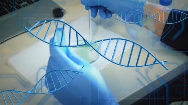 Animation Von Dna Strängen Und Wissenschaftliche Datenverarbeitung Über Männliche Kaukasische — Stockvideo