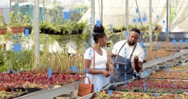 Sera rehberli müşterilerdeki fidelendirme bilgilerini gösteren etiketli personel tıkırdatma tableti. Bahçecilik, eğitim, sürdürülebilirlik, büyüme, yenilik, çevre, danışmanlık