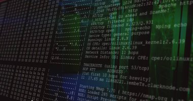 Nmap taramasını TCP portları, altıgen dökümü, yeşil kod akışı ile karanlık ekranda gösteren terminal gösteriliyor. Siber güvenlik, teknoloji, dijital, veri, fütürist, analiz, kodlama