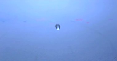 Parlayan ışıkla mavi suya düşen suyun animasyonu. Hareket ve ışık konsepti dijital olarak oluşturulmuş video.