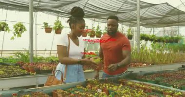 Kadın tepsileri tarıyor, büyümek için tohum kaldırıyor, erkek serada tepsi seçerken. Bahçıvanlık, bahçıvanlık, tarım, çevre dostu, doğa, keşif, takım çalışması.