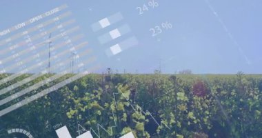 Çiftlikte büyüyen yemyeşil bitkiler üzerinde hareket eden birden fazla grafik ve verinin canlandırılması. Dijital bileşik, çoklu pozlama, bilgi, doğa, yel değirmeni ve manzara konsepti.