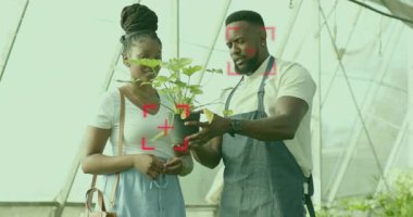 Müşteri talebi üzerine, bahçıvanın dönüşümlü bitkisi bakım için canlandırılmış kök yapraklarını gösteriyor. Bahçıvanlık, sürdürülebilirlik, koruma, büyüme, botanik, çevre dostu, doğa