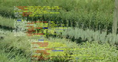 JavaScript kodu ile başlayan dizi çim kamerasında soluklaşıyor ve mantığı gösteriyor. Bahçecilik, teknoloji, yazılım, yeşillik, manzara, yenilik, kodlama