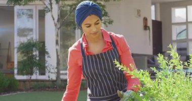 Ev bahçıvanı güneşte çalı yaprağını teftiş ediyor, ön bahçenin temiz olması için fazla kökleri buduyor. Bahçıvanlık, açık hava, bahçecilik, manzara, yaşam tarzı, doğal, canlı