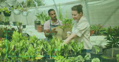 Müşteri çocuk odasında çiçek koparmak için yaklaşırken asistan da içinde canlandırma ikonları olan bir kutu sunuyor. Bahçıvanlık, bahçıvanlık, büyüme, yenilenme, çevre dostu, perakende, doğal