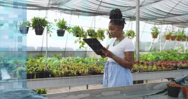 Greenhouse technician scrolling tablet and summoning binary panels for monitoring seedling growth. Horticulture, technology, innovation, sustainability, digital, futurism, environmental