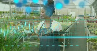 Serada tablet kaydıran iki tarım işçisi çizelgeleri sergiliyor ve büyümeyi analiz ediyor. Botanik, bahçıvanlık, sürdürülebilirlik, teknoloji, işbirliği, yenilik, büyüme