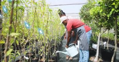Bahçıvanlar fidanlara su dökerken çocuk odasındaki nemi kontrol ediyorlar. Bahçıvanlar, manzara, canlı, yetiştirme, takım çalışması, doğa, büyüme