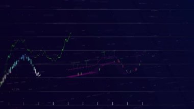 Finansal verileri temsil eden çeşitli grafiklere sahip dijital benzersiz video. Hareket grafikleri, iş dünyası, veri, bilgi grafiği, grafik, bilgisayar grafiği, fütüristik.