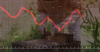 Bahçedeki bal peteği çerçevesini incelemek için takım elbise giyen arı yetiştiricisi, kovan kutusu kırmızı grafik kaplamalı. Apokültür, veri analizi, kırsal, doğal, teknoloji, sürdürülebilir, açık hava