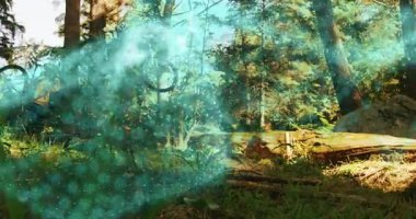 Parlayan parçacık dalgası tahtadan geçerken iki binicinin açık hava sporlarını kameraya aldığını gösteriyor. Macera, keşif, doğa, teknoloji, takım çalışması, aktivite, vahşi doğa