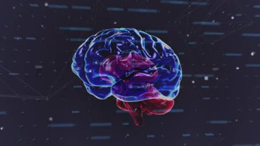 Siyah arka plandaki grafikler ve simgeler üzerinden beynin animasyonu. İnsan biyolojisi, zihni, veri işleme, bilgisayarlar ve teknoloji konsepti dijital olarak oluşturulmuş video.