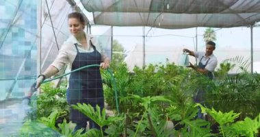 Woman spraying hose triggers grid overlay tracking plant health in greenhouse while man pouring can. Horticulture, sustainability, automation, environmental, nature, teamwork, verdant