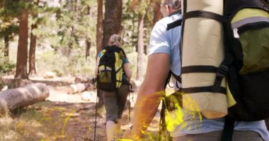 Sağlık için ormanı keşfeden bir çift, güneş ışığı sırt çantalarının etrafında dönen sarı küreler. Macera, doğa, keşif, orman, patika, sağlık, açık hava