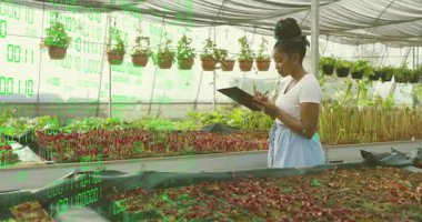 Kadın serada tepsileri tarıyor, veri örtüsünü etkinleştiriyor ve bahçıvanlık için notlar alıyor. Bahçecilik, sürdürülebilirlik, yenilik, büyüme, çevre, botanik, araştırma