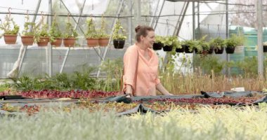 Entering greenhouse, customer inspecting seedlings and holding pot while nursery staff guiding care. Gardening, horticulture, growth, nature, collaboration, lush, eco-friendly