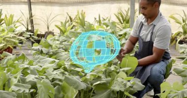 Yetiştirici serada diz çöküp yaprakları kontrol ediyor hologramın sağlık ve solgunluk için hizalandığını gösteriyor. Botanik, bahçıvanlık, ekoloji, bitki bilimi, akıllı tarım, sürdürülebilir tarım, biyoteknoloji