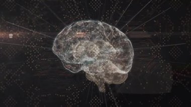 Siyah arka planda tümleşik devre üzerinden beynin animasyonu. İnsan biyolojisi, zihni, veri işleme ve teknoloji konsepti dijital olarak oluşturulmuş video.