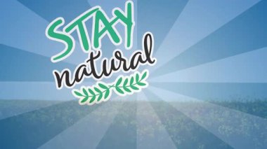 Çok renkli canlıların canlandırılması açık gökyüzüne karşı kanola çiçekleri üzerinde doğal metinler olarak kalır. Dijital bileşik, çoklu pozlama, manzara, doğa, yenilenebilir enerji ve çevre kavramı.