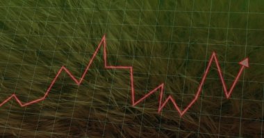 Yeşil ızgara kaplamalı uzun kuru çimenler üzerinde dalgalanan okla kırmızı zigzag çizgisi grafiği gösteriliyor. Veri görselleştirme, analitik, finansal, sunum, asgari, soyut, büyüme