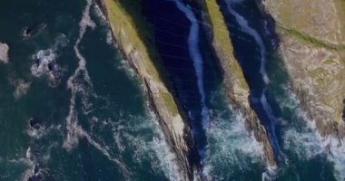 Finansal grafiklerin ve deniz ve kara üzerindeki verilerin animasyonu. küresel ekonomi, finans, sürdürülebilirlik ve doğa konsepti dijital olarak oluşturulmuş video.