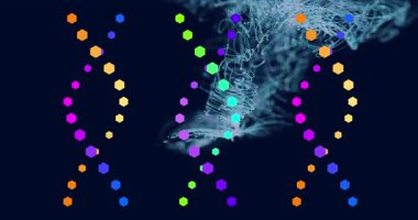 Siyah arkaplanda dalgalarla hareket eden DNA animasyonu. renk, şekil ve hareket konsepti dijital olarak oluşturulmuş video.