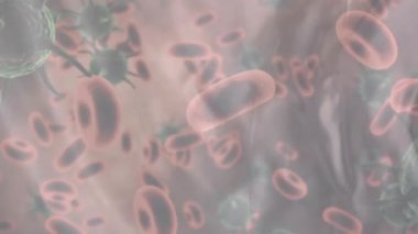 Sıvı arka planda virüs hücrelerinin canlandırılması. covid 19 pandemik kavramı dijital olarak oluşturulan video sırasında küresel iş ve dijital arayüz.