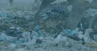 Ragbi örgüsünün bayrağını sallıyor. Fotokopi alanı dijital olarak oluşturulmuş olan renk doğası ve enerji soyut tasarım kavramı.