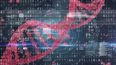 Bozukluk, DNA, virüs hücresi ve siyah arkaplanda ikili kod animasyonu. küresel covid 19 salgın, bilim ve dijital arayüz kavramı dijital olarak oluşturulmuş video.