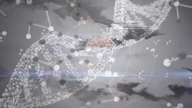 Kafkas erkek atlet üzerinde DNA ve veri işleme animasyonu. İnsan anatomisi, bilim, spor ve eğitim konsepti dijital olarak oluşturulmuş video.