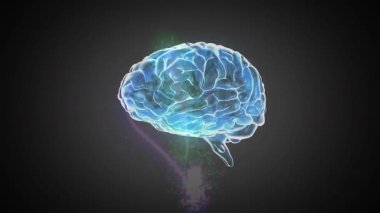 Siyah arkaplan üzerinde beyin animasyonu. küresel iş ve dijital arayüz kavramı dijital olarak oluşturulmuş video.