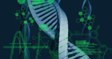 Moleküler grafikler ve kodlar eşliğinde veri arayüzünde yüzen 3 boyutlu DNA sarmalları gösteriliyor. Fütürist, biyoteknoloji, dijital, bilimsel, yenilik, moleküler, teknoloji